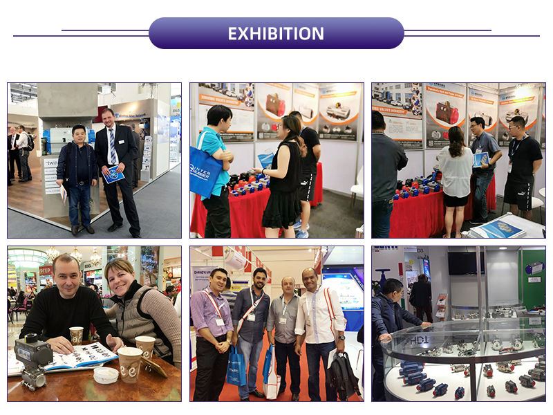 Our Exhibition