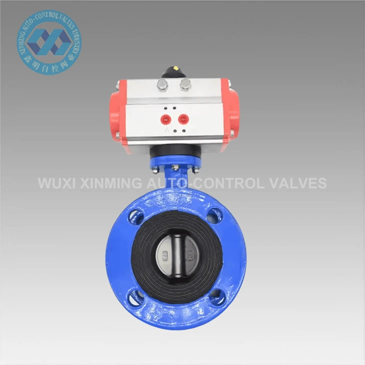 Custom Single And Double Action Flanged Butterfly Valve